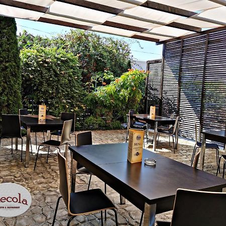 International Recola Motel Банещи Екстериор снимка